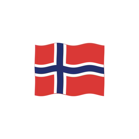 8081 Norvégia zászlaja, 60x90 cm