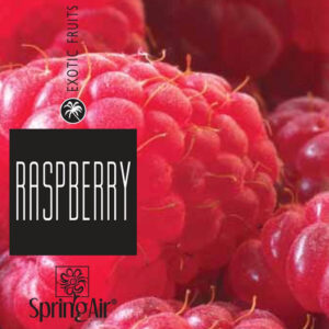 2506 SpringAir Rapsberry