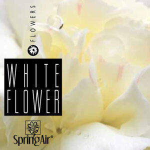 2510 SpringAir White Flower