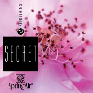 2516 SpringAir Secret