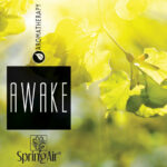 2519 SpringAir Awake