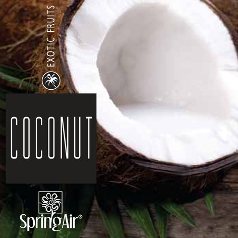 2531 SpringAir Coconut