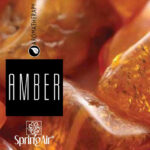 2597 Amber SpringAir